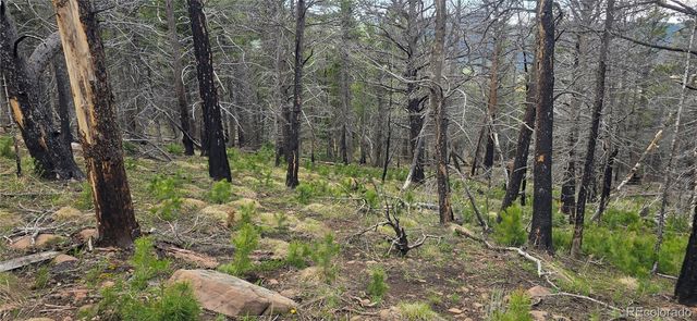 Lot 2732 Grojean Drive, Fort Garland, CO 81133