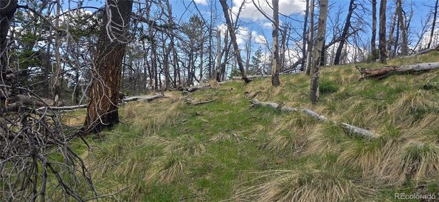 Lot 2732 Grojean Drive, Fort Garland, CO 81133