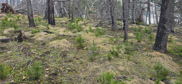 Lot 2732 Grojean Drive, Fort Garland, CO 81133