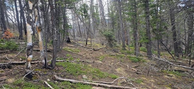 Lot 2732 Grojean Drive, Fort Garland, CO 81133