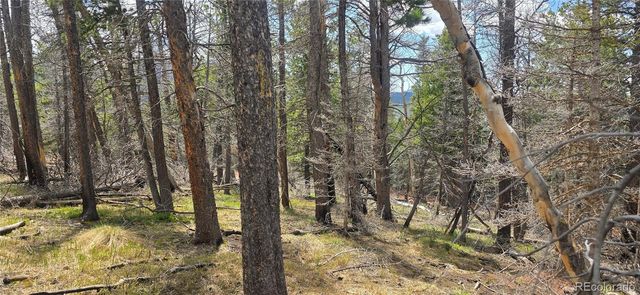 Lot 2732 Grojean Drive, Fort Garland, CO 81133