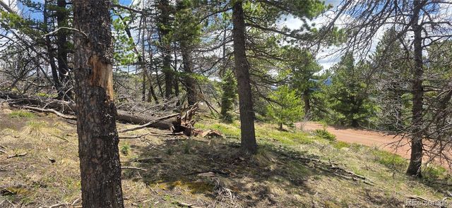 Lot 2732 Grojean Drive, Fort Garland, CO 81133