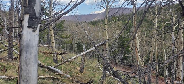 Lot 2732 Grojean Drive, Fort Garland, CO 81133