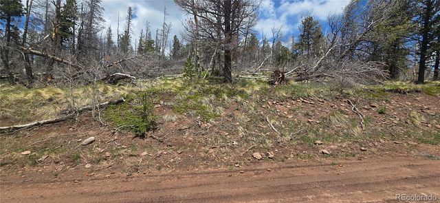 Lot 2732 Grojean Drive, Fort Garland, CO 81133