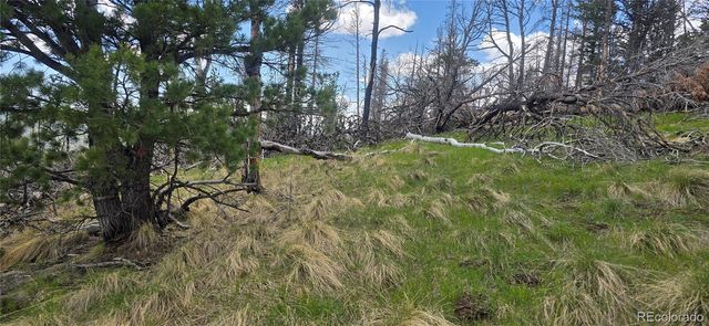 Lot 2732 Grojean Drive, Fort Garland, CO 81133