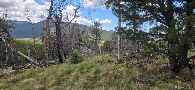 Lot 2732 Grojean Drive, Fort Garland, CO 81133