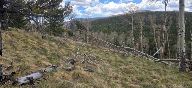 Lot 2732 Grojean Drive, Fort Garland, CO 81133