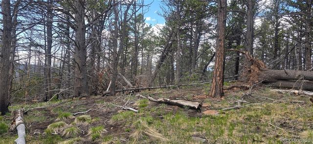 Lot 2732 Grojean Drive, Fort Garland, CO 81133