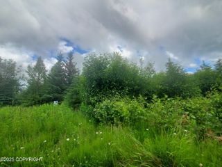 32370 Stacey Lane, Anchor Point, AK 99556