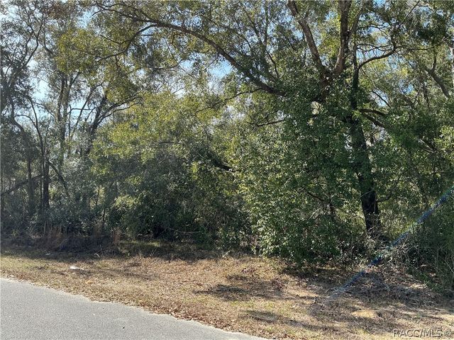 1534 W Magenta Drive, Citrus Springs, FL 34434