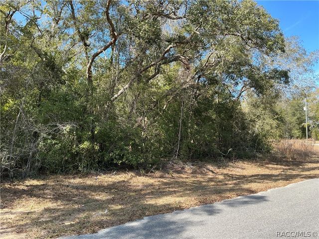 1534 W Magenta Drive, Citrus Springs, FL 34434