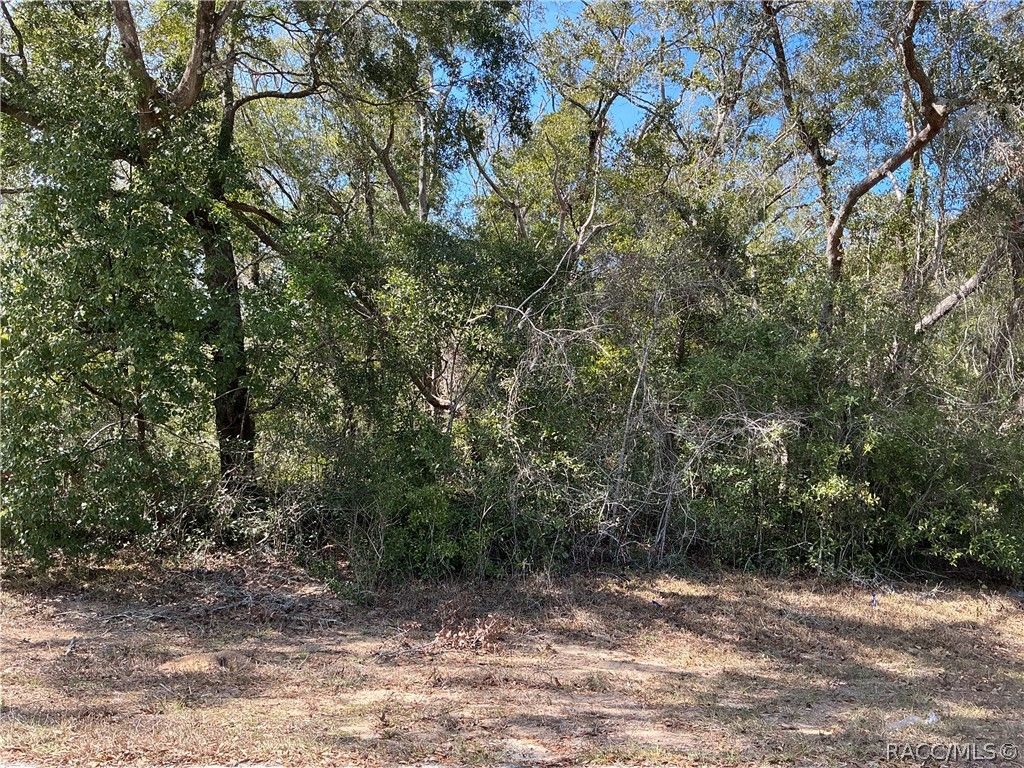 1534 W Magenta Drive, Citrus Springs, FL 34434