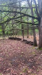 825 Jessi Road, Forsyth, MO 65653