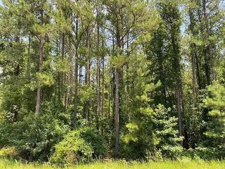 Lot 69 Providence Ferry, Lincolnton, GA 30817