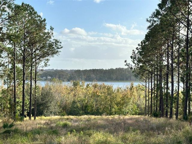 16744 ARTIMINO LOOP, Bella Collina, FL 34756