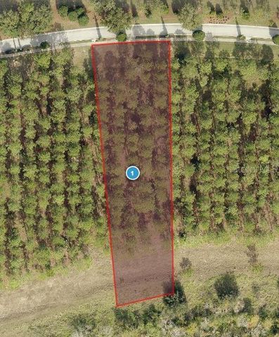 16744 ARTIMINO LOOP, Bella Collina, FL 34756