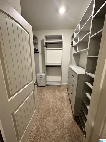224 PARK CREST RUN, Chelsea, AL 35043