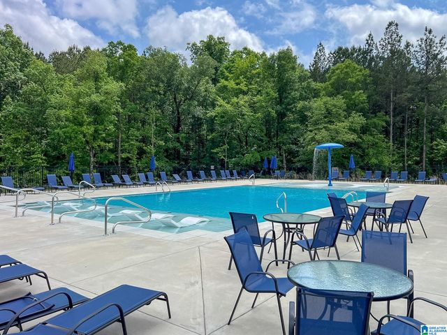 224 PARK CREST RUN, Chelsea, AL 35043