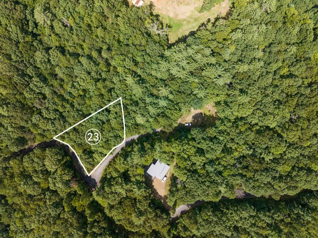 lot 23 Timber Lane Court, Turtletown, TN 37391