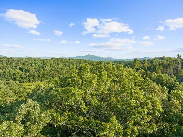 lot 23 Timber Lane Court, Turtletown, TN 37391