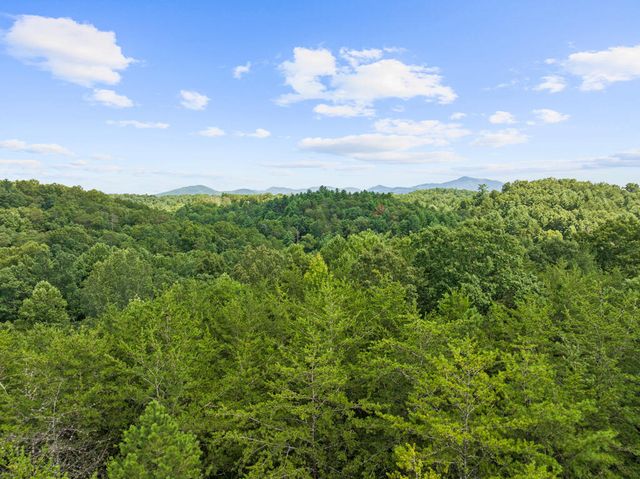 lot 23 Timber Lane Court, Turtletown, TN 37391