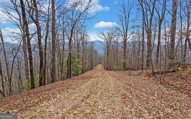 279 Collins Creek Road, Hiawassee, GA 30546