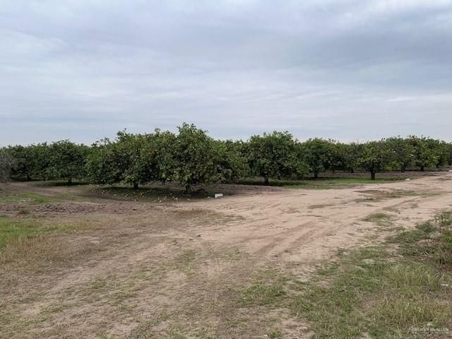 0 S Stewart Road, San Juan, TX 78589