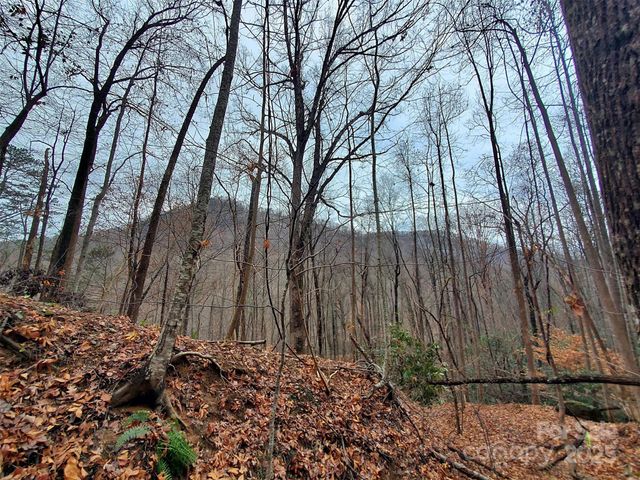 000 Green River Cove Road, Saluda, NC 28773