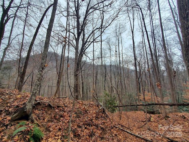 000 Green River Cove Road, Saluda, NC 28773