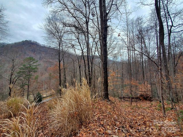 000 Green River Cove Road, Saluda, NC 28773