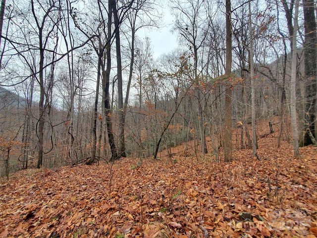 000 Green River Cove Road, Saluda, NC 28773