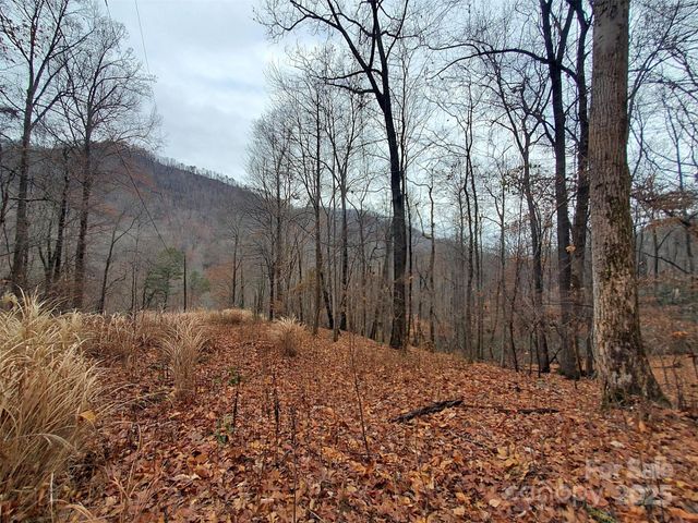 000 Green River Cove Road, Saluda, NC 28773