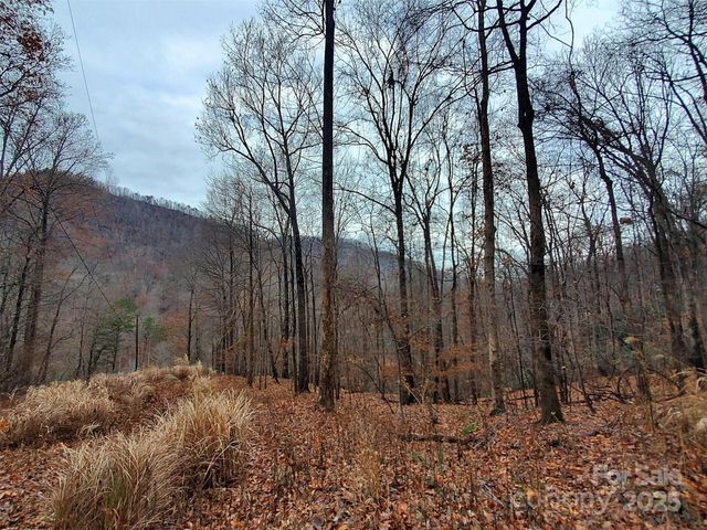 000 Green River Cove Road, Saluda, NC 28773