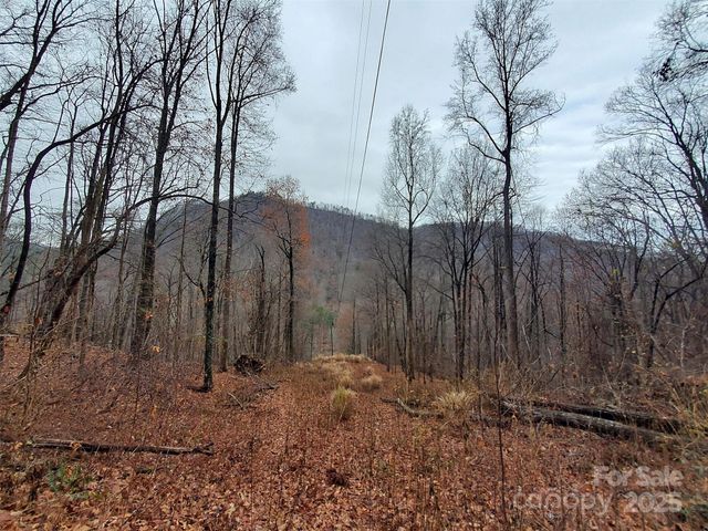 000 Green River Cove Road, Saluda, NC 28773