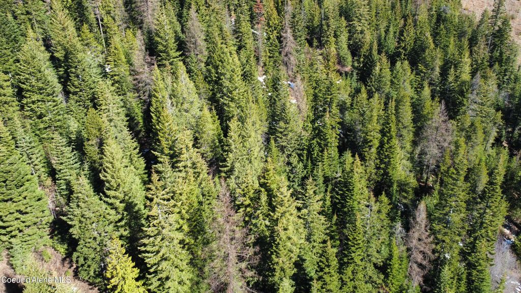 0 Adams Creek RD, Fernwood, ID 83830 photo 11