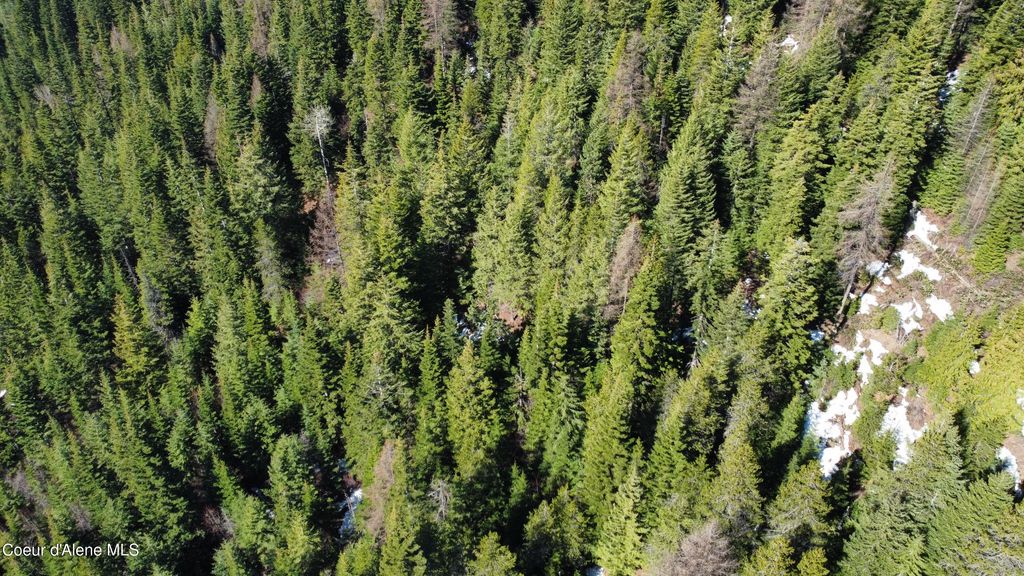 0 Adams Creek RD, Fernwood, ID 83830 photo 12