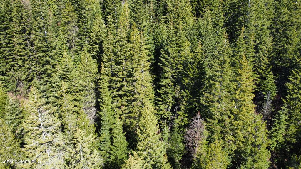 0 Adams Creek RD, Fernwood, ID 83830 photo 13