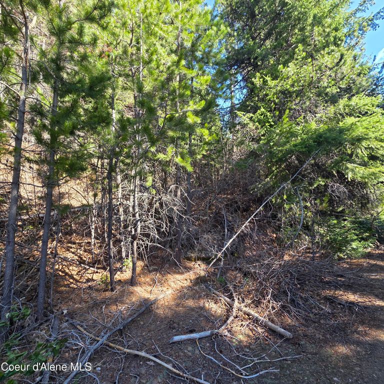 0 Adams Creek RD, Fernwood, ID 83830 photo 2