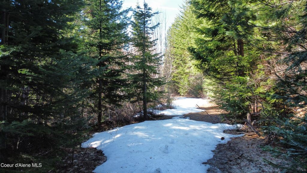 0 Adams Creek RD, Fernwood, ID 83830 photo 3