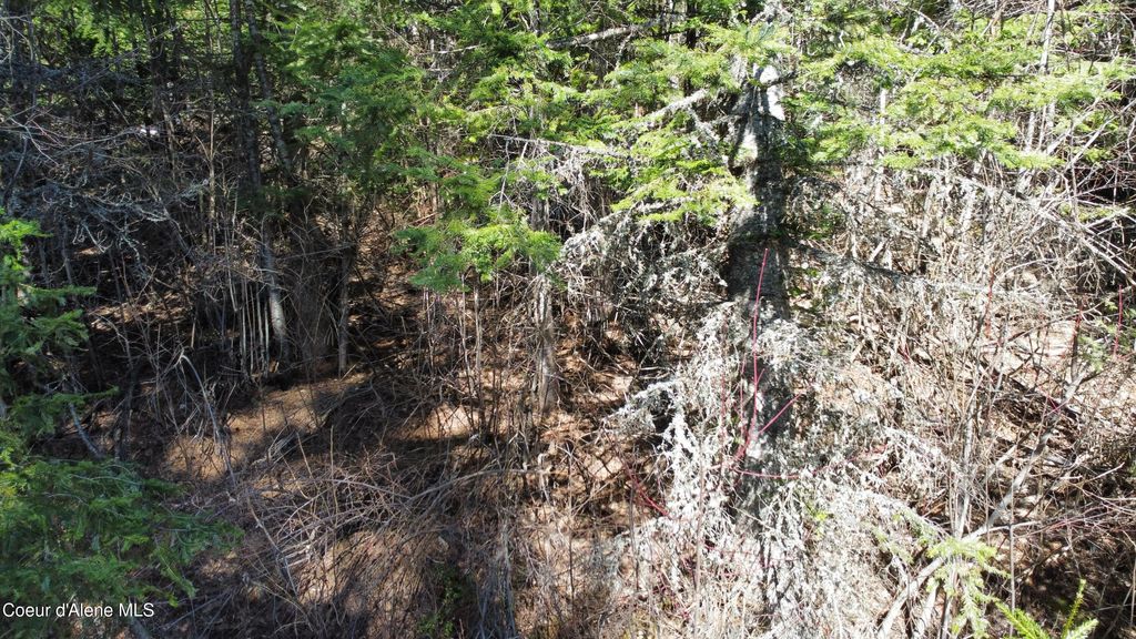 0 Adams Creek RD, Fernwood, ID 83830 photo 4