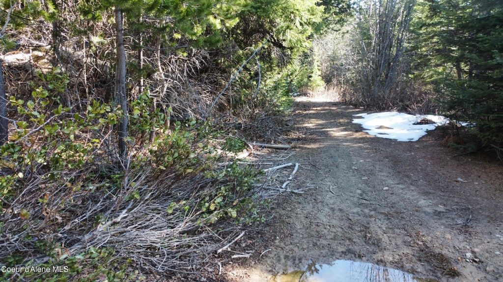 0 Adams Creek RD, Fernwood, ID 83830 photo 5