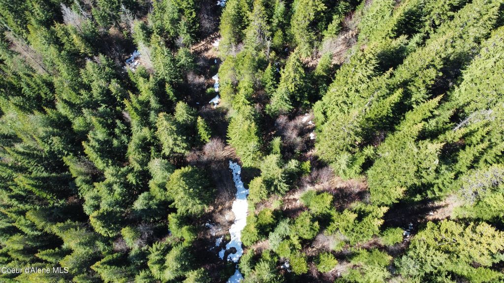 0 Adams Creek RD, Fernwood, ID 83830 photo 6