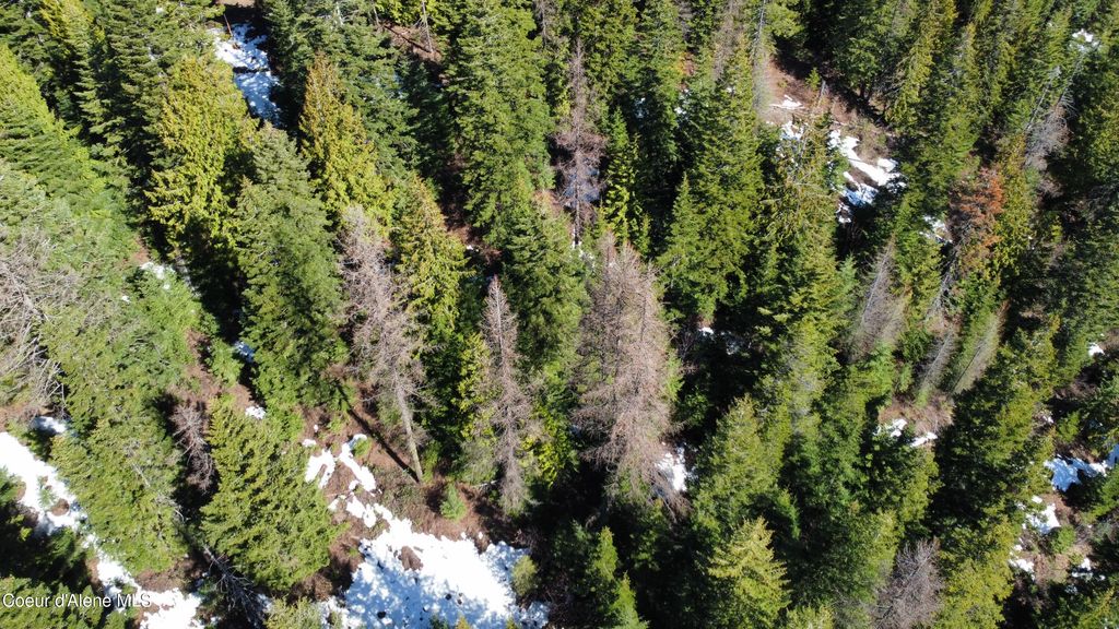 0 Adams Creek RD, Fernwood, ID 83830 photo 7