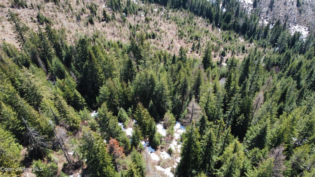 0 Adams Creek RD, Fernwood, ID 83830 photo 8