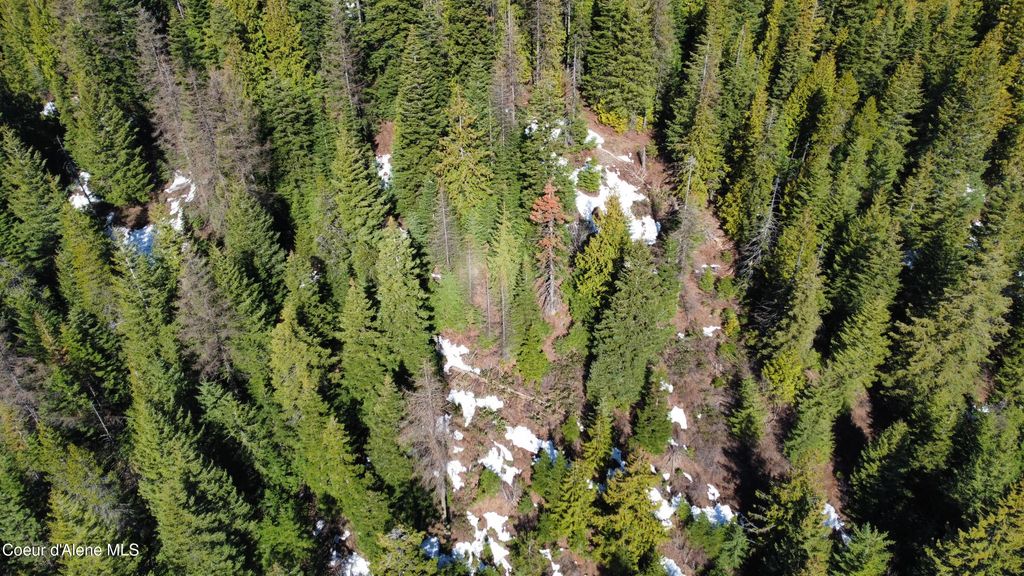 0 Adams Creek RD, Fernwood, ID 83830 photo 9