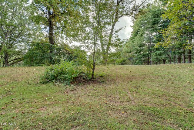 317 Rosemary Lane, Piney Flats, TN 37686