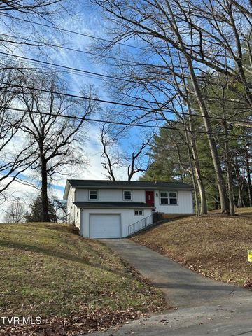 317 Rosemary Lane, Piney Flats, TN 37686