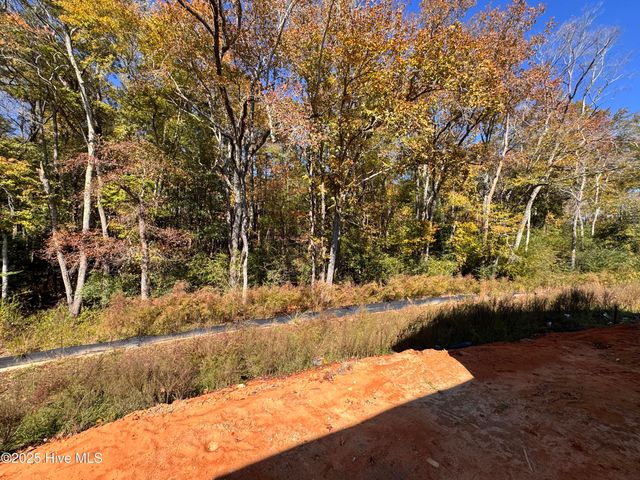 151 Michter Street 41, Vass, NC 28394