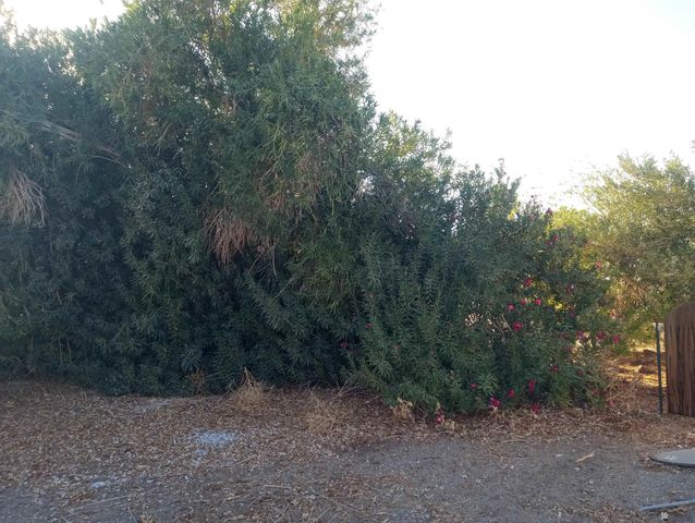 8864 S Pirtle Ct, Wellton, AZ 85356