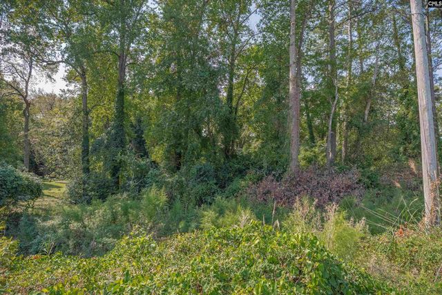 60 Moonglo Circle, Columbia, SC 29223